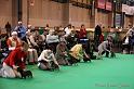 Crufts2011_2 514